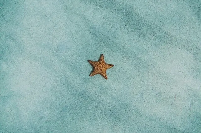 Blog cover, Photo by Amy Humphries on Unsplash