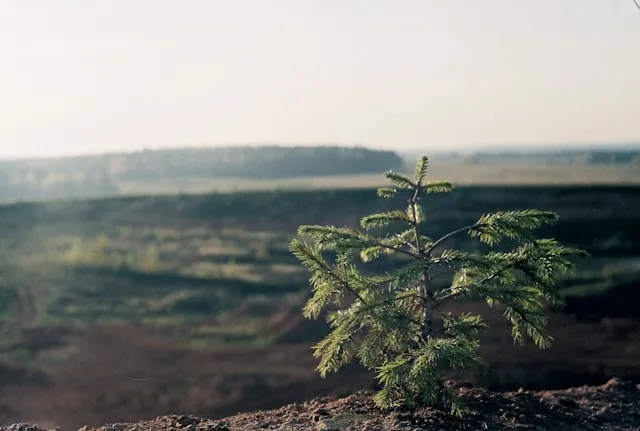 Blog cover, Photo by Илья Артюхин on Unsplash