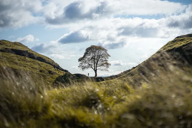 Blog cover, Photo by clement proust on Unsplash