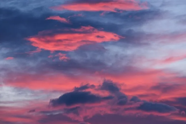 Blog cover, Photo by Sarah Sheedy on Unsplash