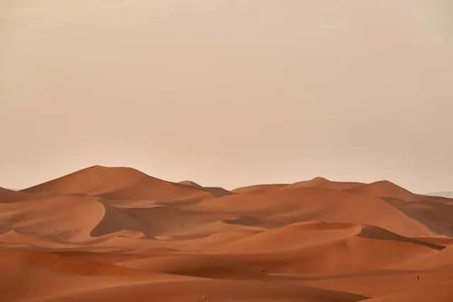 Blog cover, Photo by Wolfgang Hasselmann on Unsplash